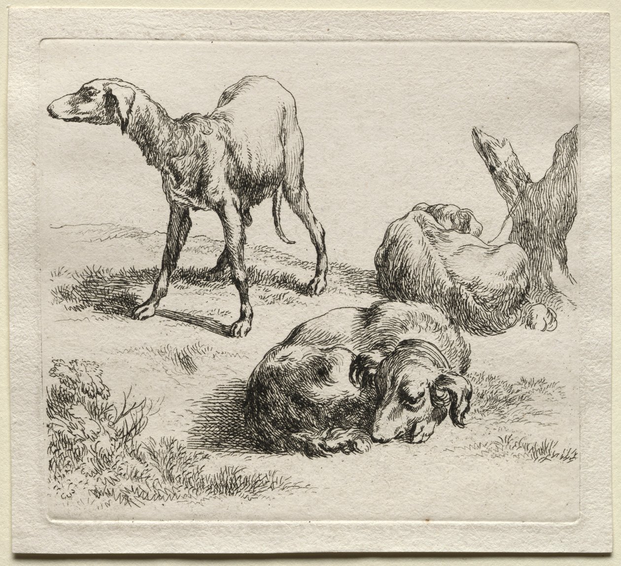 Drie Jachthonden door Nicolaes Pietersz. Berchem