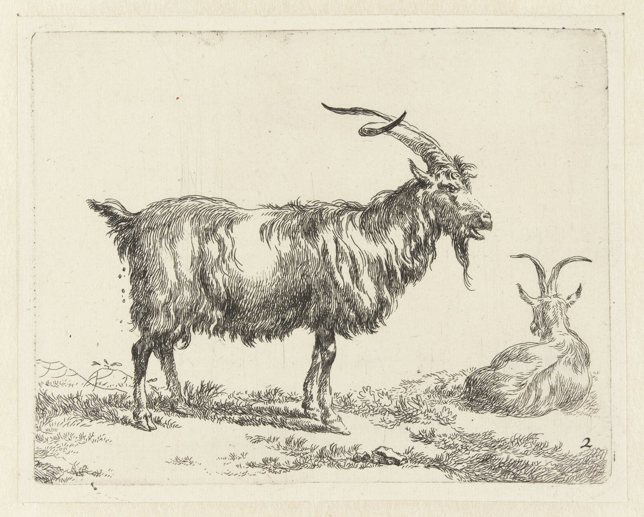 Twee geiten door Nicolaes Pietersz Berchem
