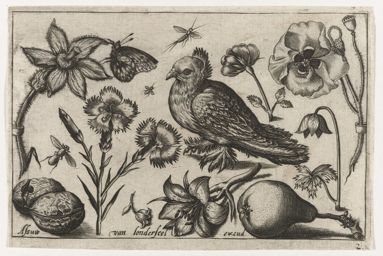 Bloemen, een peer en een duif door Nicolaes de Bruyn (possibly)