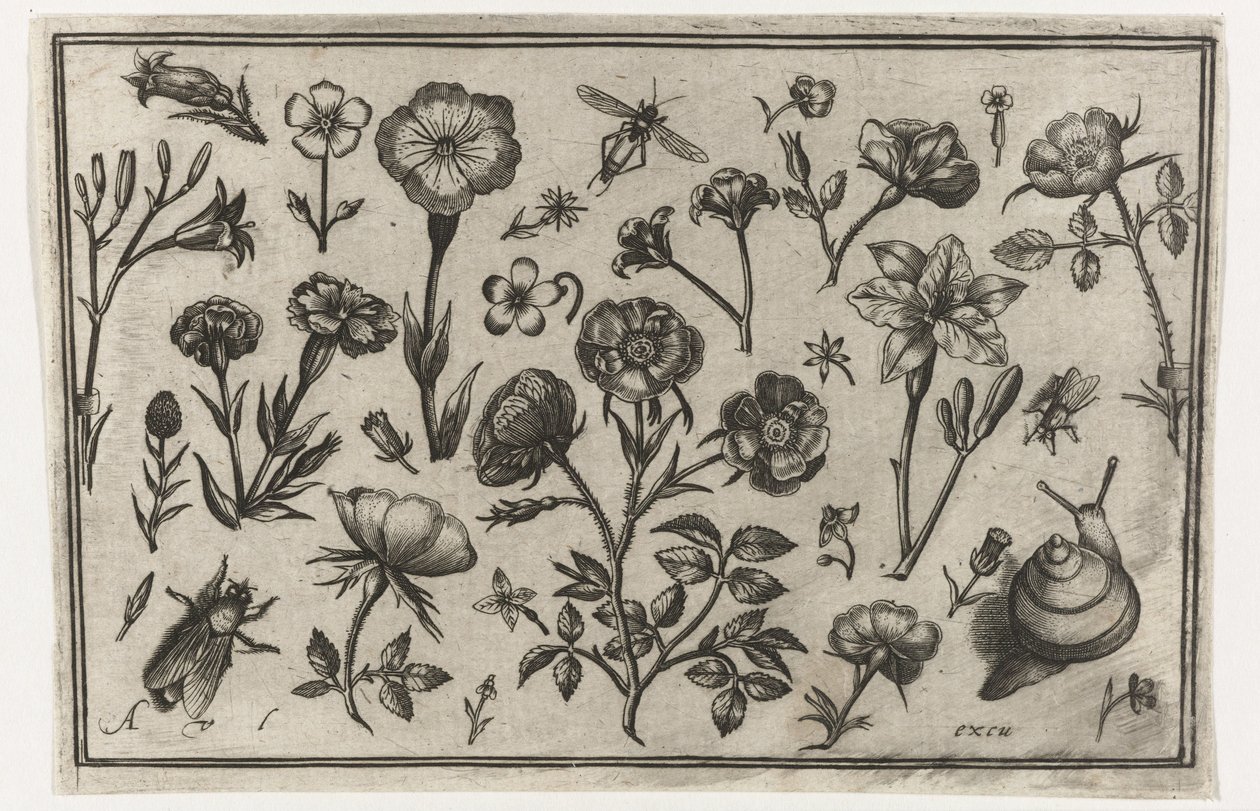 Bloemen, een vlieg en een slak door Nicolaes de Bruyn (possibly)