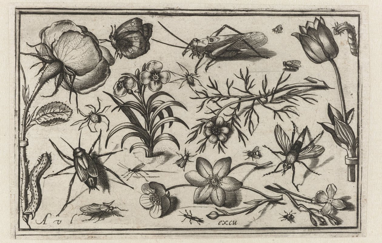 Bloemen en insecten door Nicolaes de Bruyn (possibly)