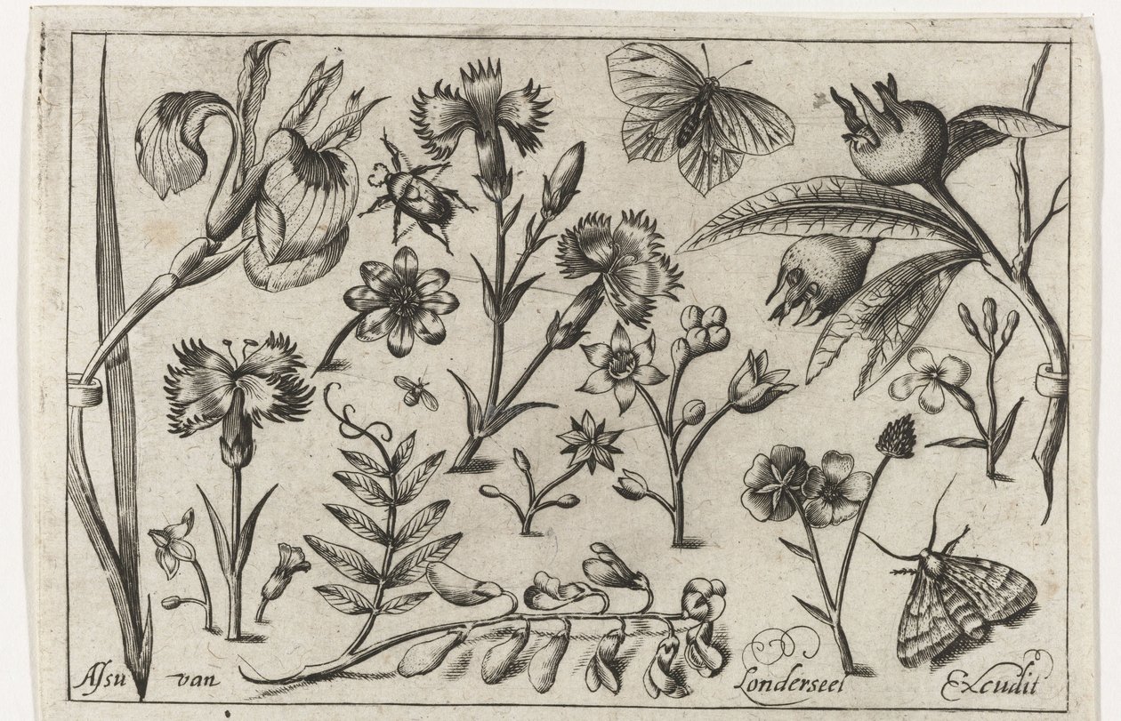 Bloemen en vlinders door Nicolaes de Bruyn (possibly)