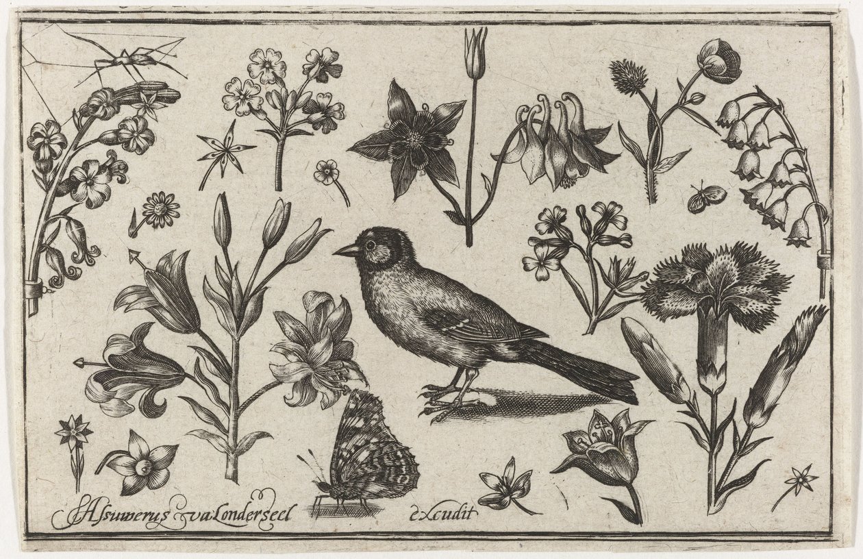 Bloemen, vlinder en een vogel door Nicolaes de Bruyn (possibly)