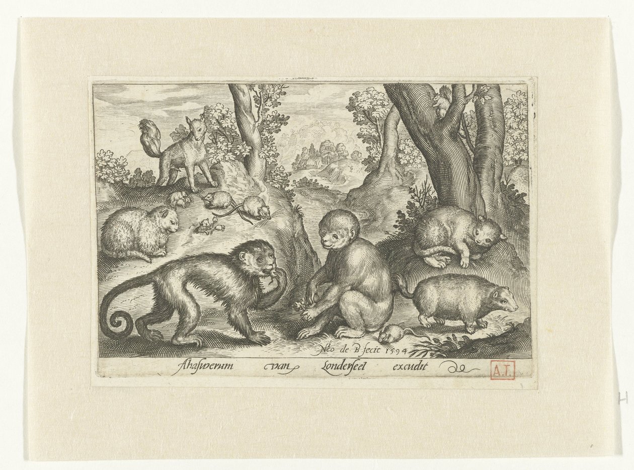 Apen, katten en muizen door Nicolaes de Bruyn