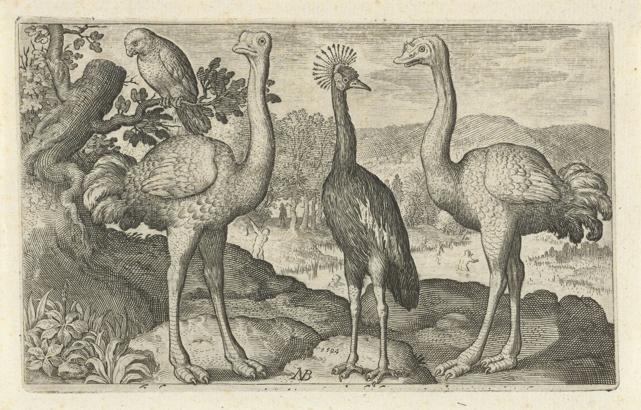Kroonkraanvogel tussen twee struisvogels door Nicolaes de Bruyn