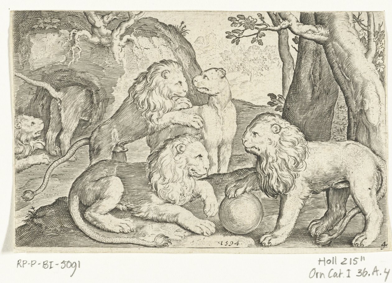 Leeuwen (serie titel) door Nicolaes de Bruyn