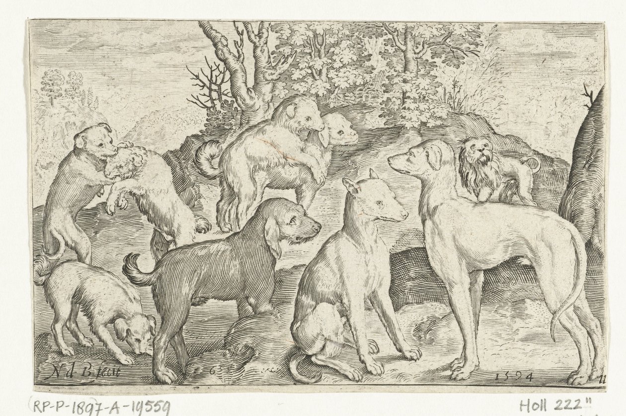Negen honden Animalivm qvadrvpedvm Dieren in landschappen (serie) door Nicolaes de Bruyn