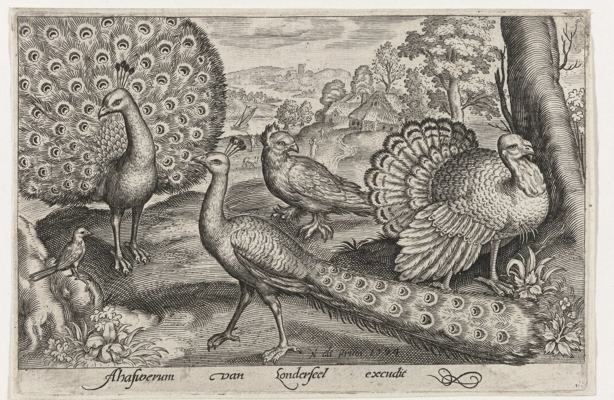 Twee pauwen en kalkoen Vogels en insecten door Nicolaes de Bruyn