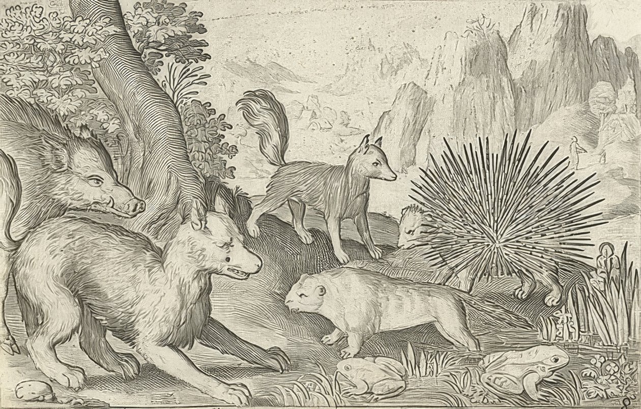 Wild zwijn, vossen, bevers, stekelvarken en kikkers door Nicolaes de Bruyn