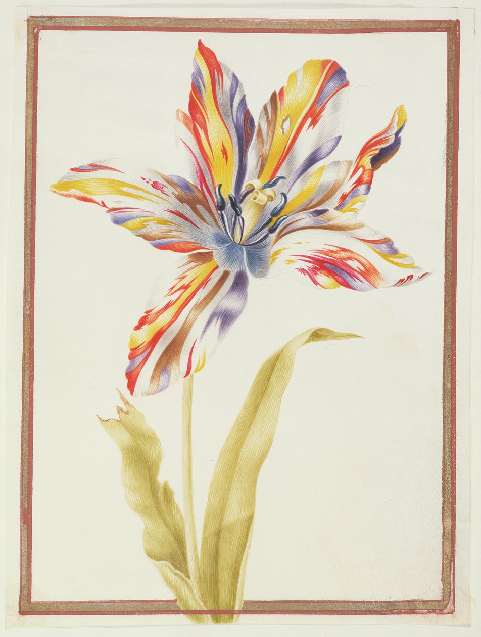 PD.109-1973.f19 Een veelkleurige 
