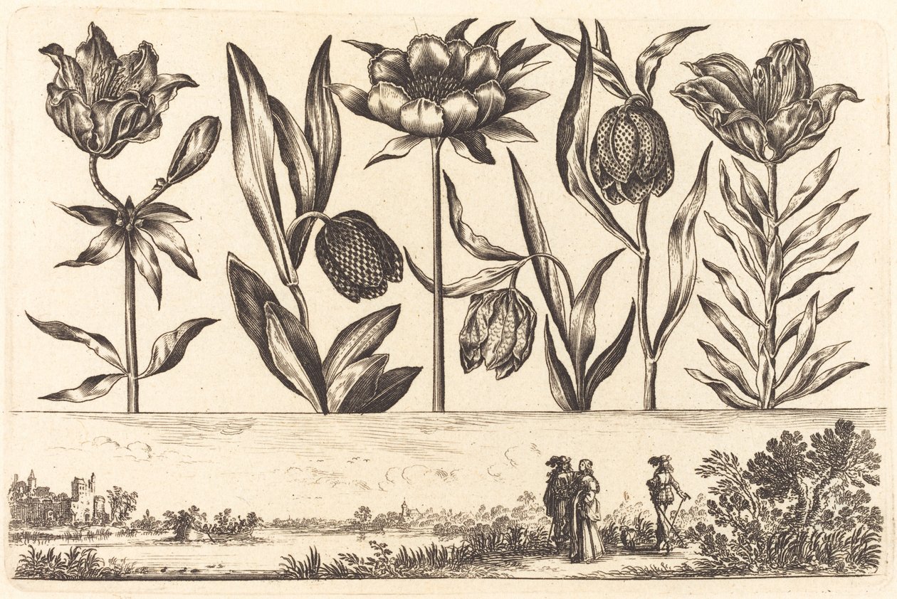 Bloemenprint nr. 11 door Nicolas Cochin after Balthasar Moncornet