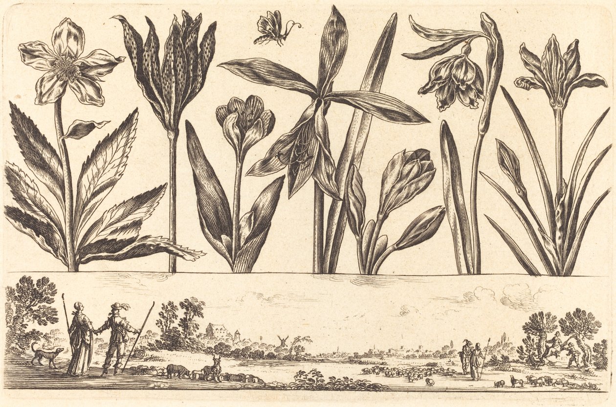 Bloemenprint nr. 4 door Nicolas Cochin after Balthasar Moncornet