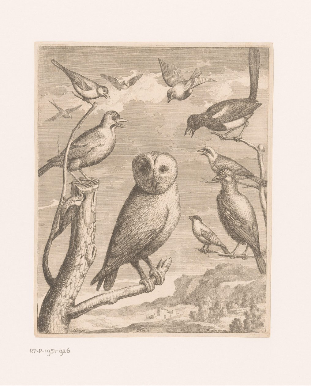 Uil en andere vogels Vogels uit de dierentuin van Versailles door Nicolas Robert (possibly)