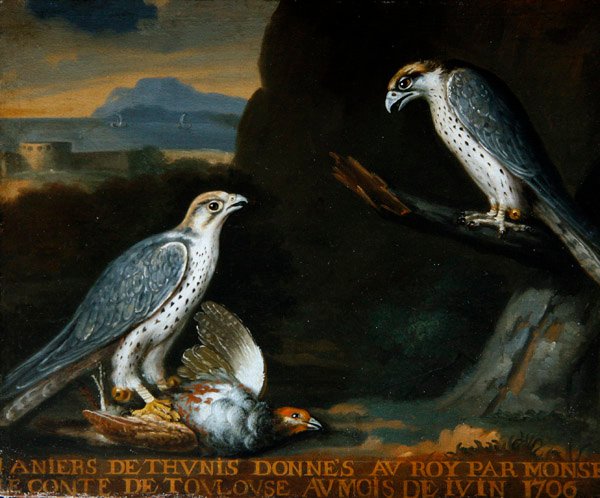 Twee giervalken, een met een patrijs door Nicolas Spheyman