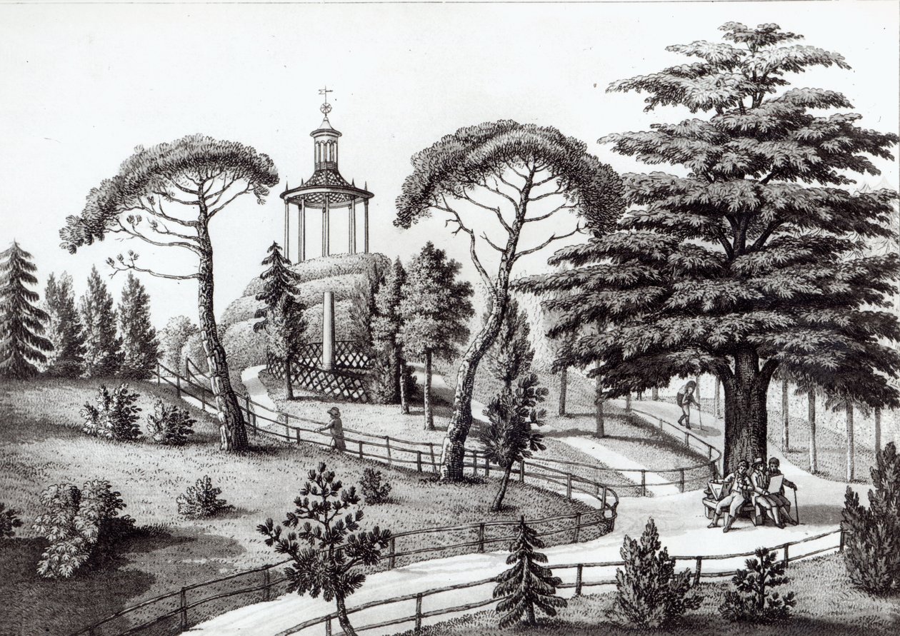 Het Labyrint van de Jardin des Plantes, Parijs, gegraveerd door Francois Aubertin (177383-1821) door Nicolas the Younger Huet