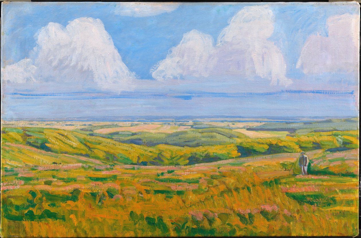 Uitzicht vanaf Korsdalen. Hammer Hills door Niels Larsen Stevns