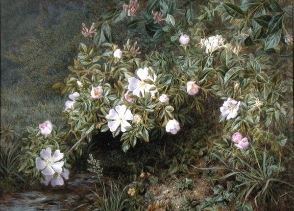 Een studie van Hondsrozen, ca. 1900 door Niels Pieter Rasmussen