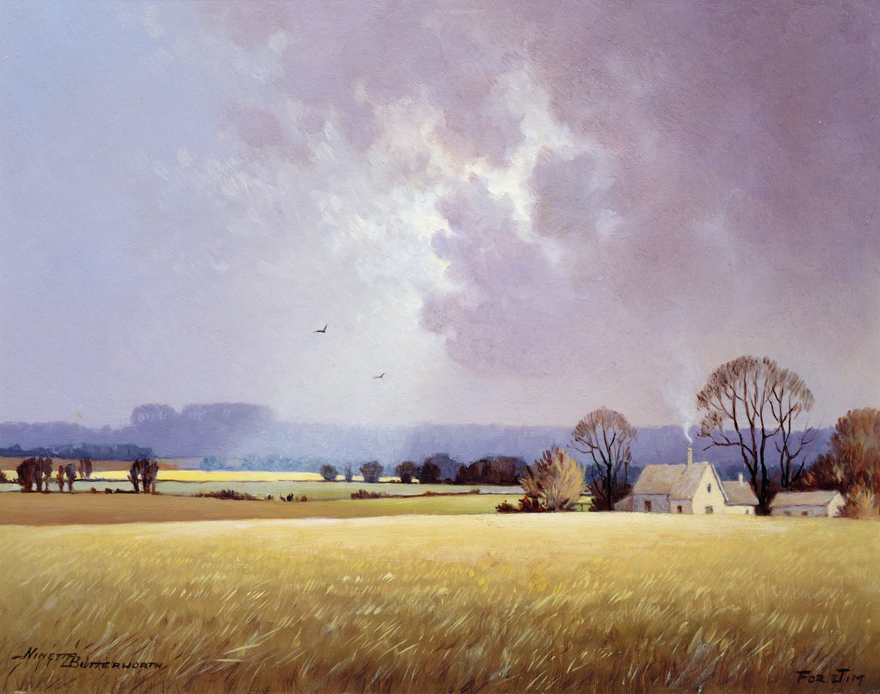 Herfstzonlicht, 1982 door Ninetta Butterworth