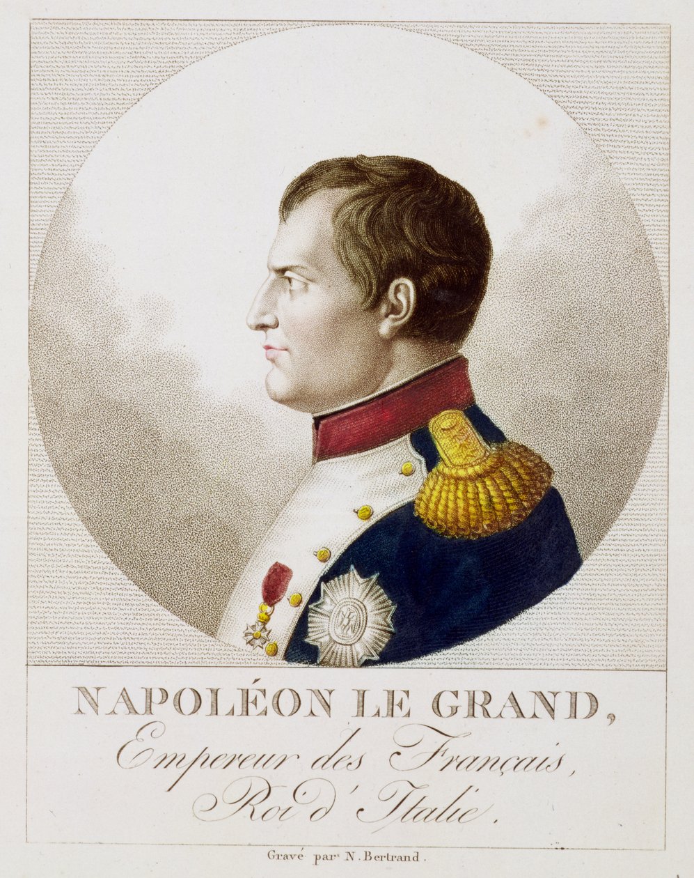 Portret van Napoleon door Noel Francois Bertrand