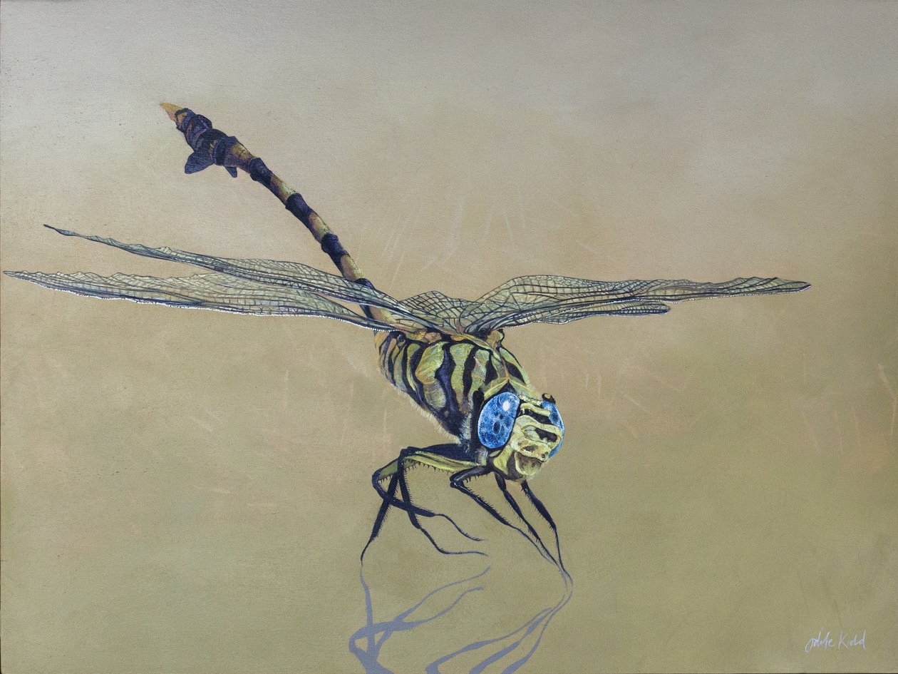 Drakenvlieg, 2009 (acryl op hout) door Odile Kidd