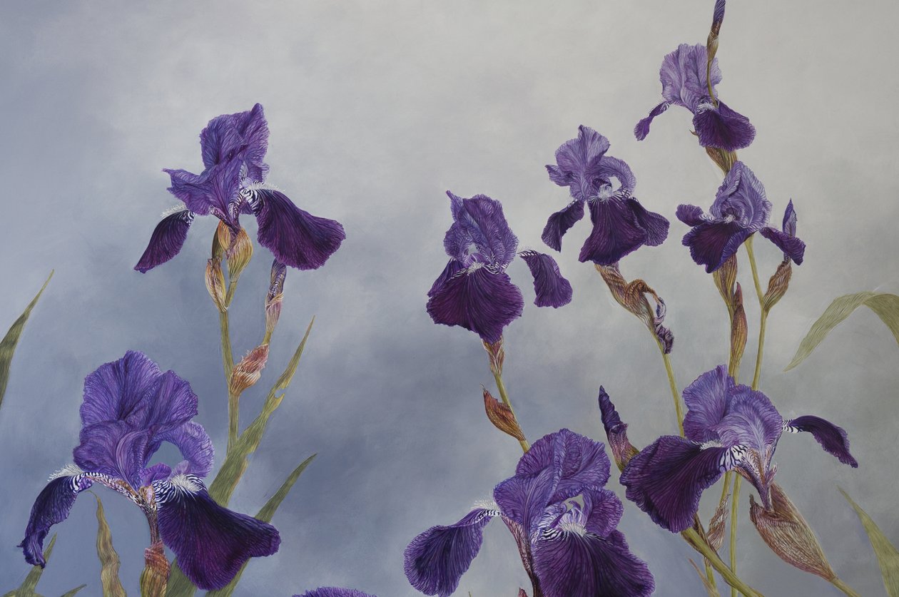 Iris hybrida (detail), 2015 (acryl op gegessuurd hout) door Odile Kidd