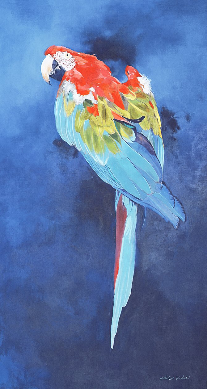 Rode en blauwe Ara, 2002 (acryl op linnen) door Odile Kidd