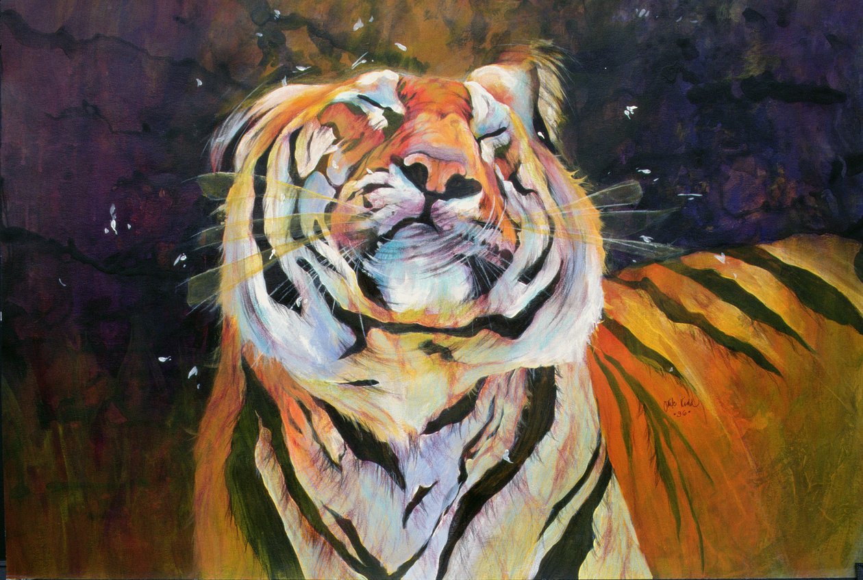 Tijger (schuddend hoofd) 1996 (inkt, acryl en potlood op papier) door Odile Kidd