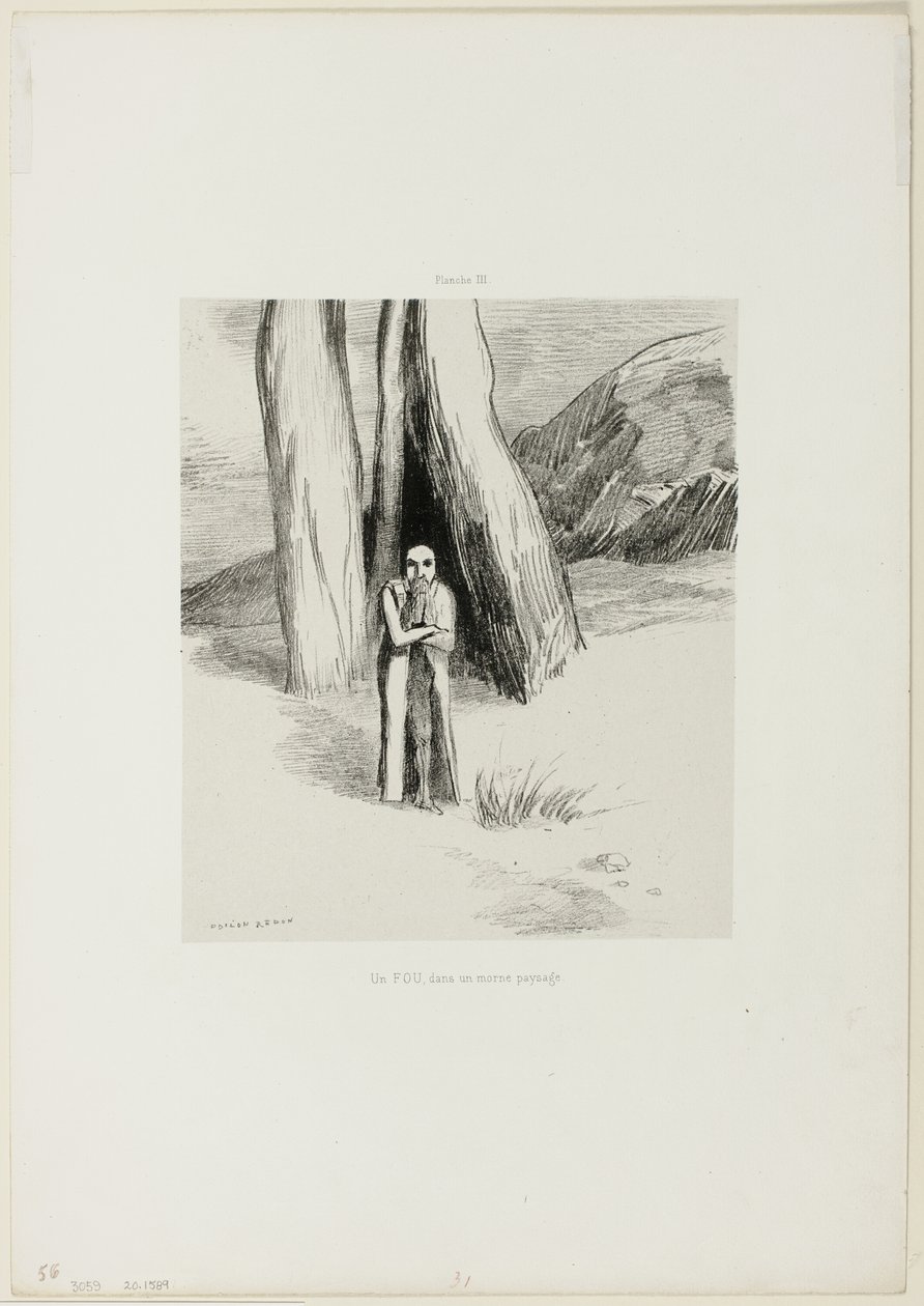 Een Gek in een Somber Landschap, plaat 3 van 6 door Odilon Redon