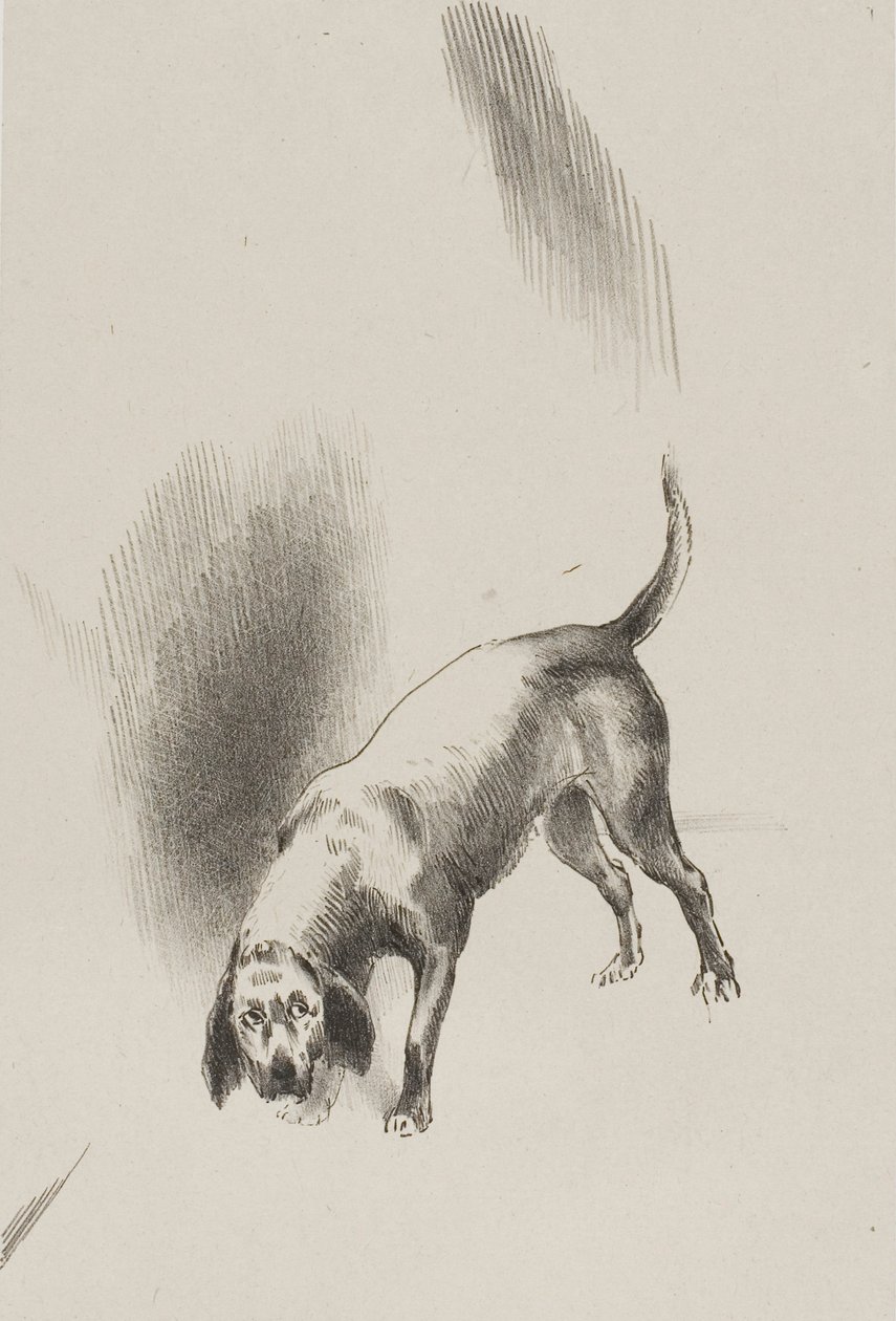 Hij [de hond van de verteller] hield zijn ogen op mij gericht met zo