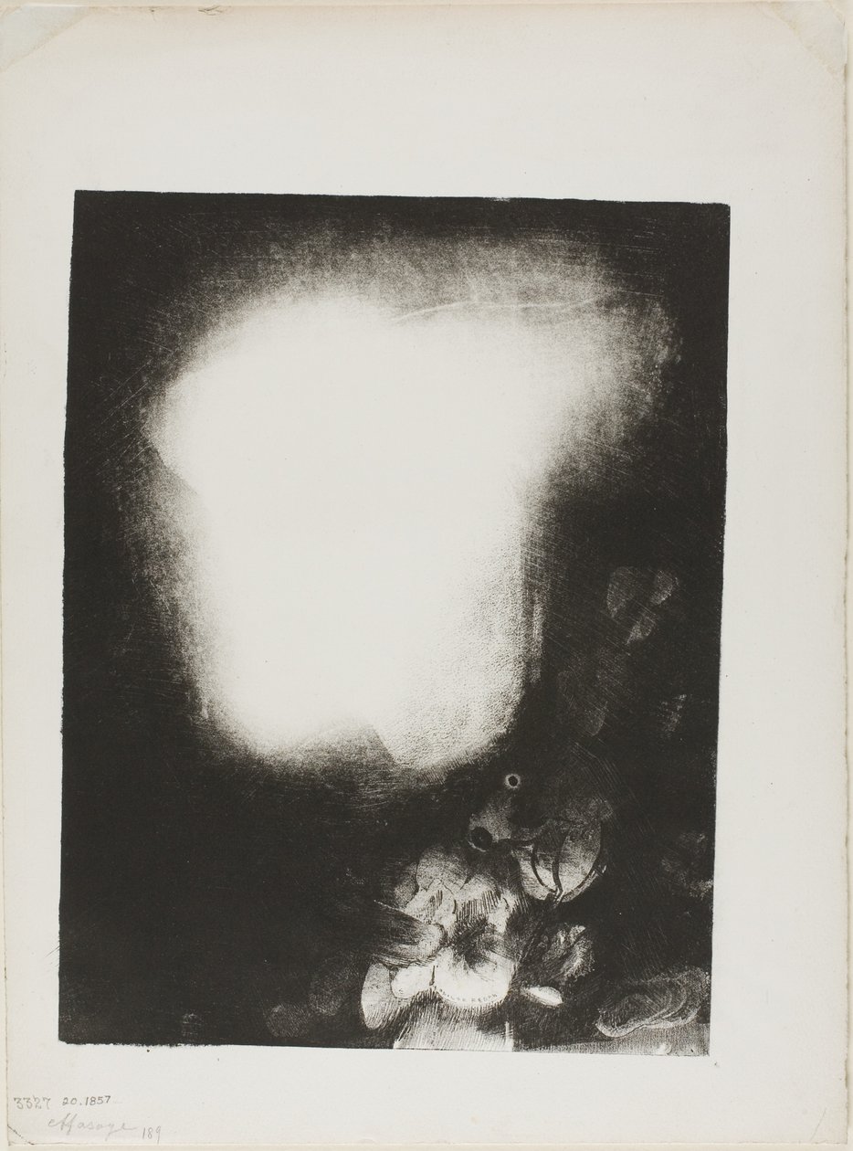 Hoofd van een vrouw met corsage van bloemen door Odilon Redon