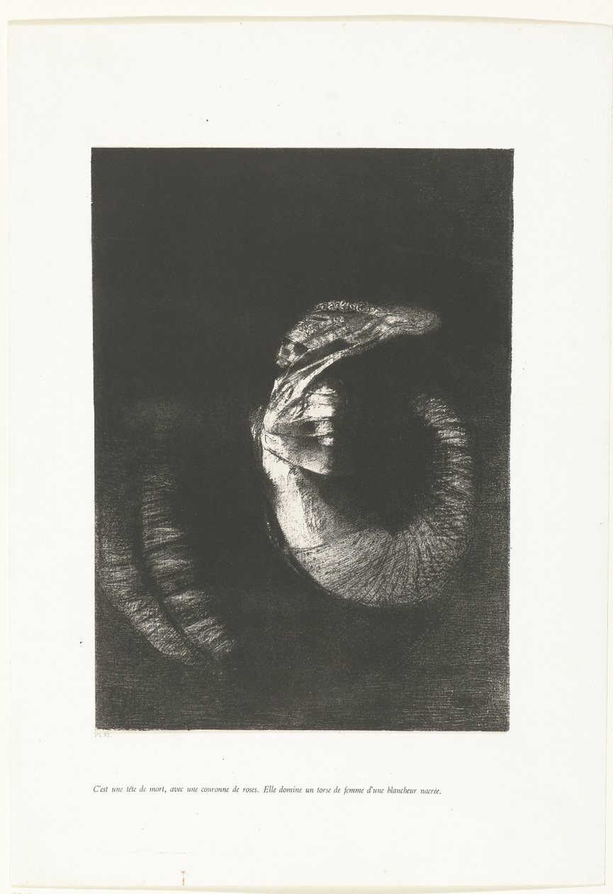 Het is een doodshoofd met een krans van rozen door Odilon Redon