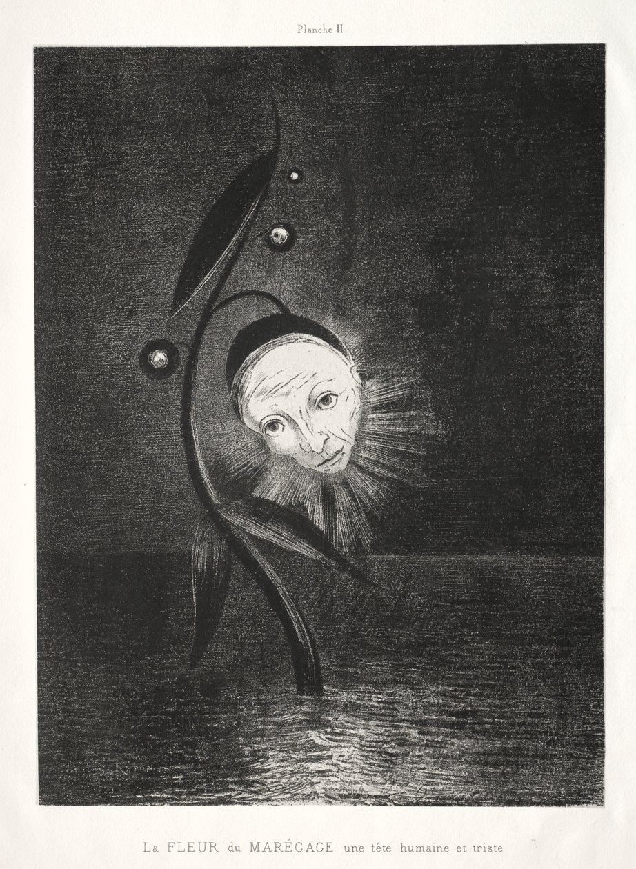 Hulde aan Goya: De Moerasbloem, een Triest Menselijk Hoofd, 1885 door Odilon Redon