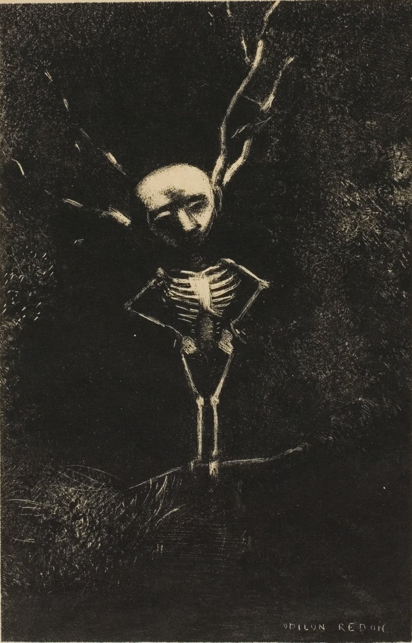 In het doolhof van takken verscheen de bleke figuur, plaat 2 van 7 door Odilon Redon