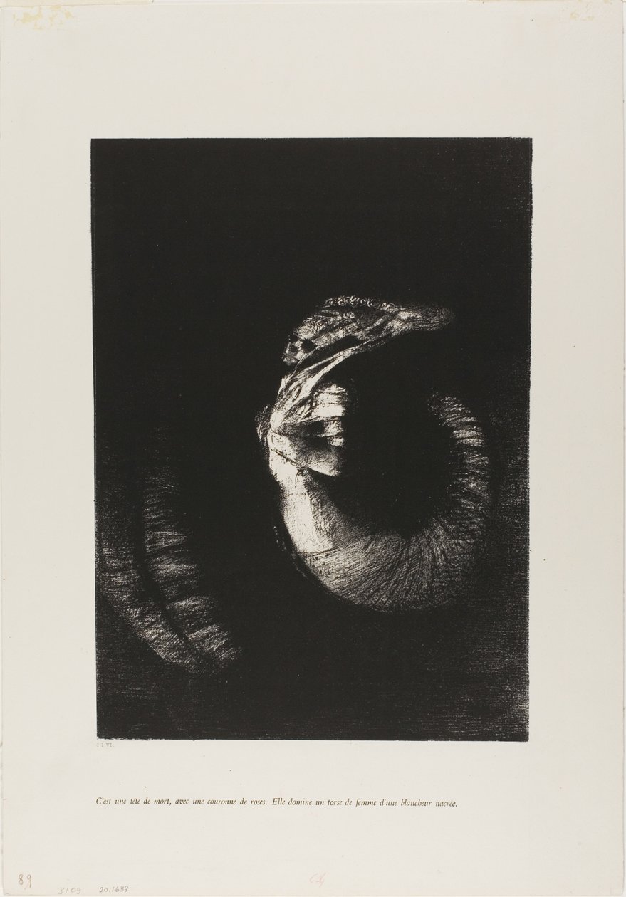 Het is een Schedel Omkranst met Rozen... door Odilon Redon