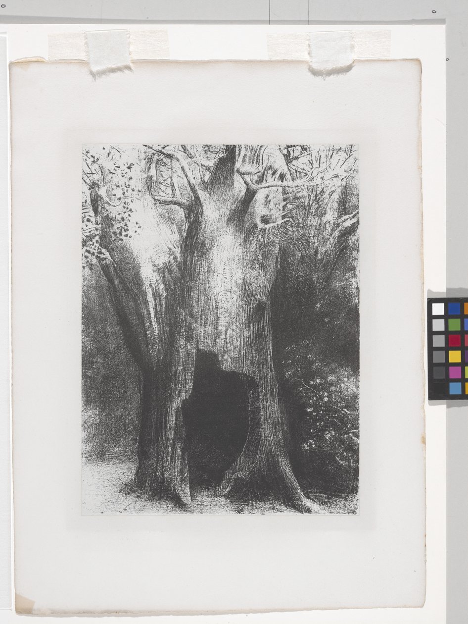 Ik Ben In De Eenzaamheid Gedoken door Odilon Redon