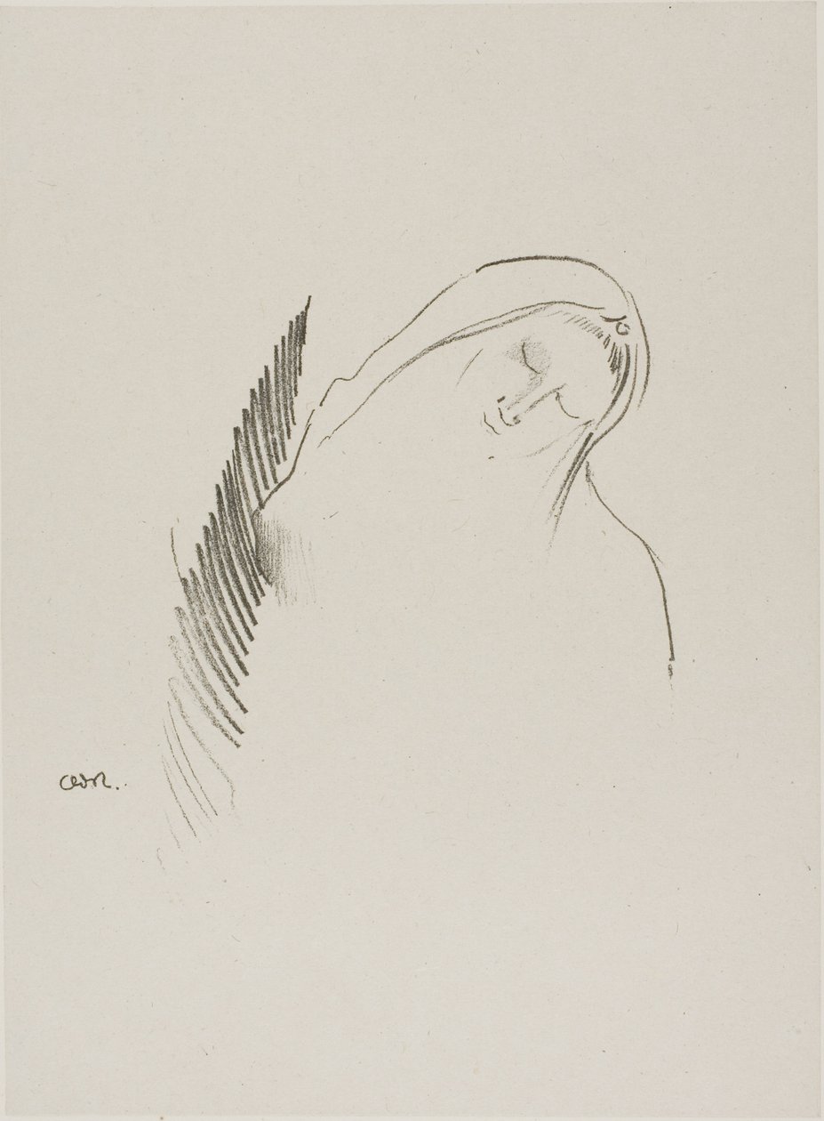 Slaap door Odilon Redon