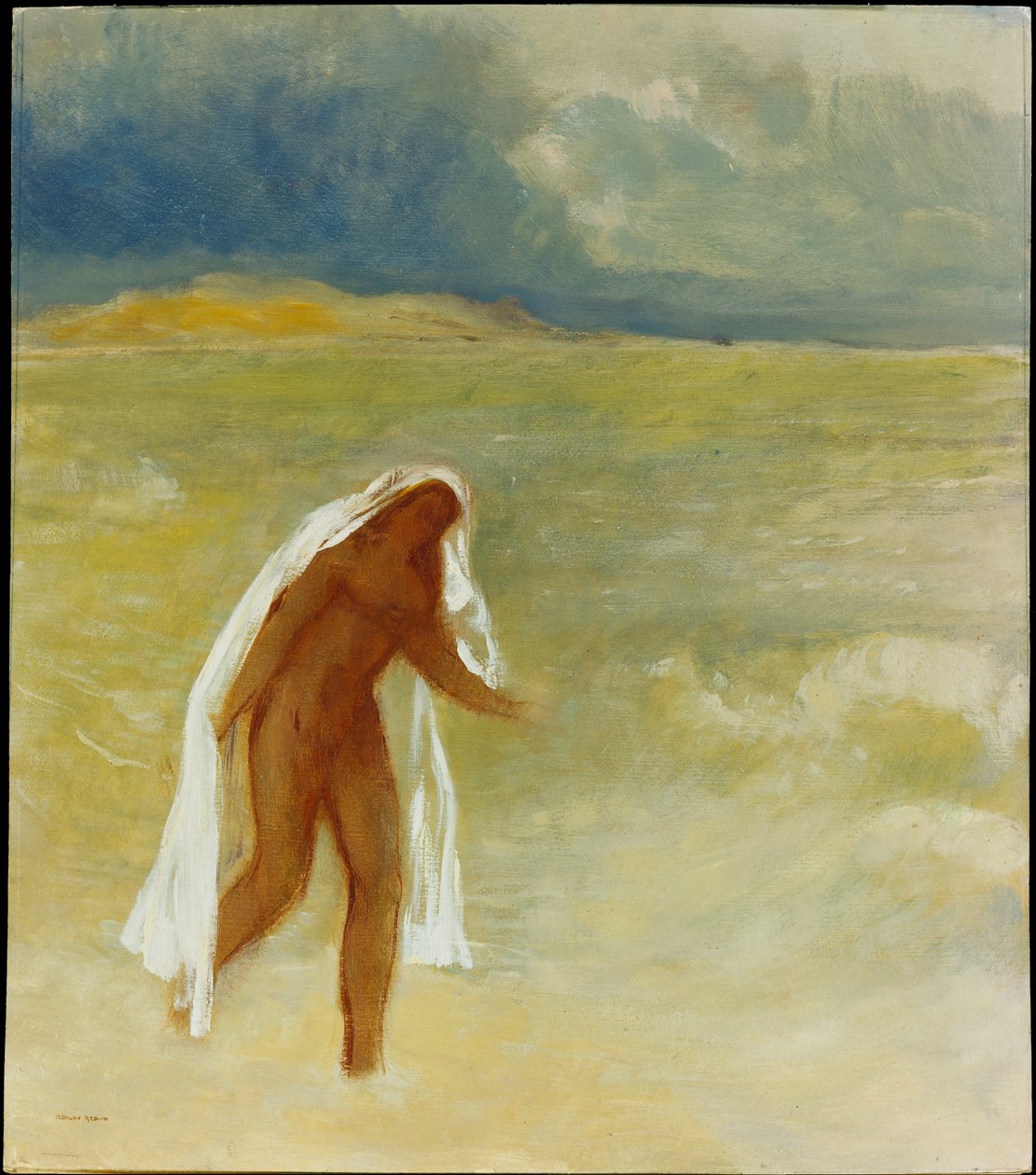 Die Geburt der Venus door Odilon Redon
