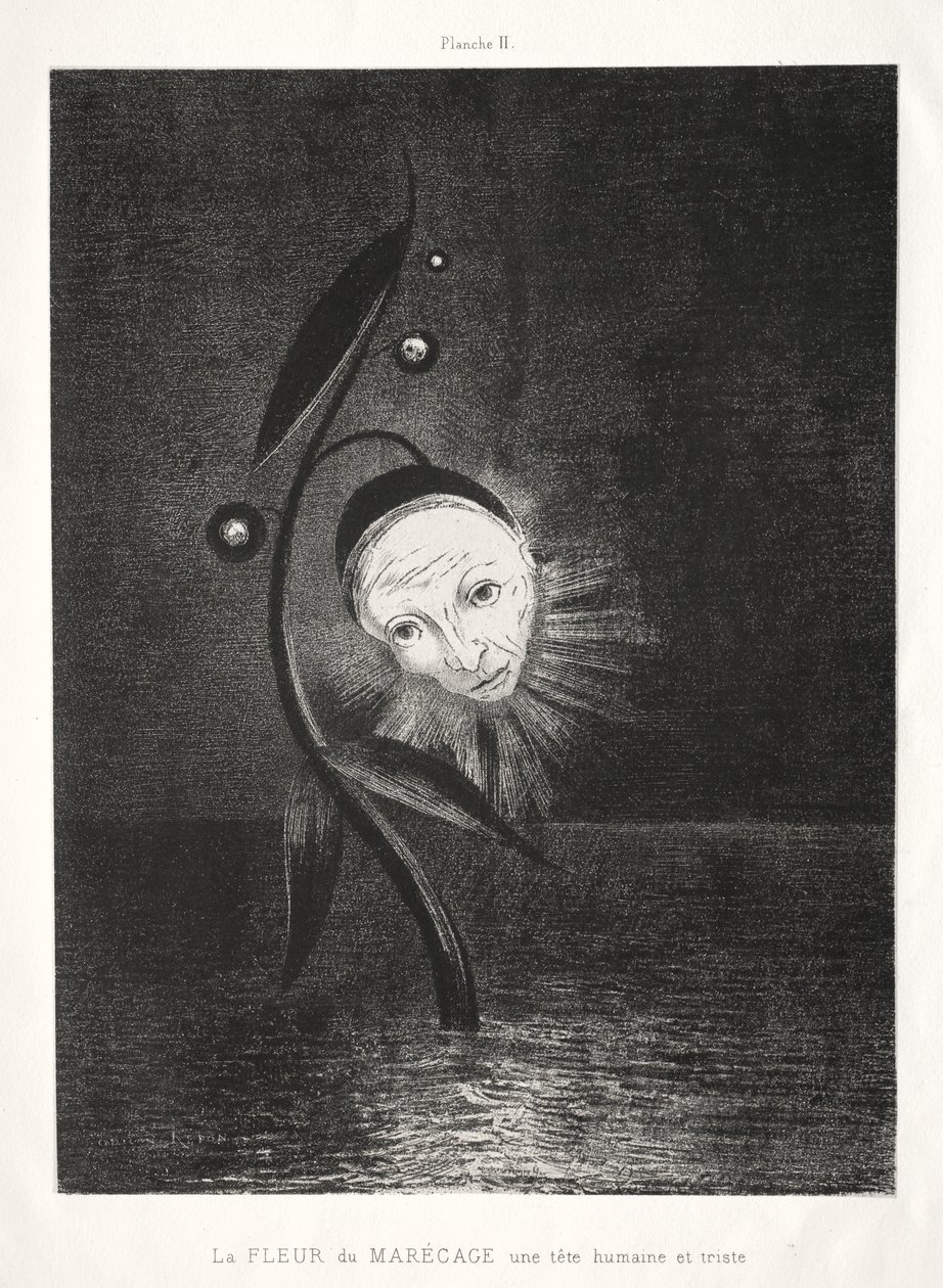 De Moerasbloem, een Triest Menselijk Hoofd door Odilon Redon