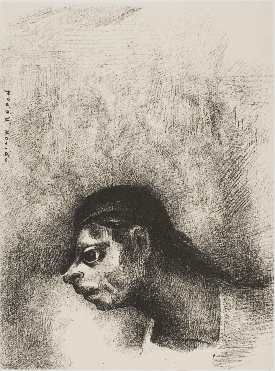 Door de barst in de muur werd het hoofd van een dode geprojecteerd, uit The Juror door Odilon Redon