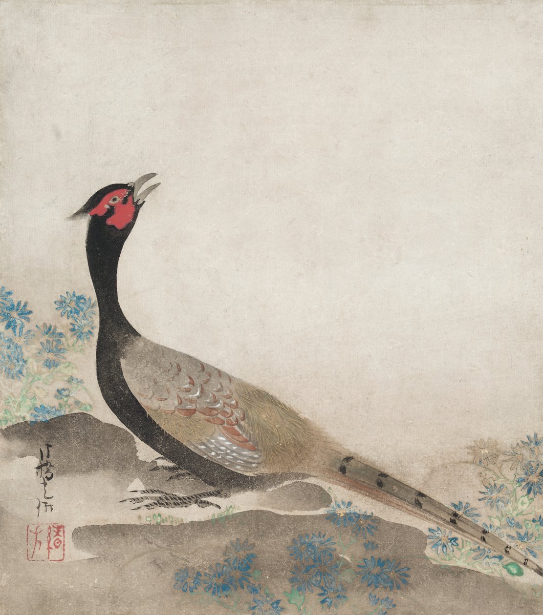 Fazant door Ogata Korin