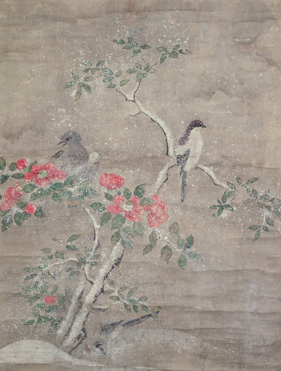 Vogels en camelia in de sneeuw, ca. 1700 door Ogawa Haritsu