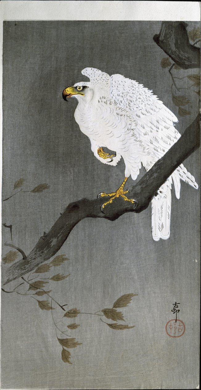 Valk op een Tak, 1907 door Ohara Koson