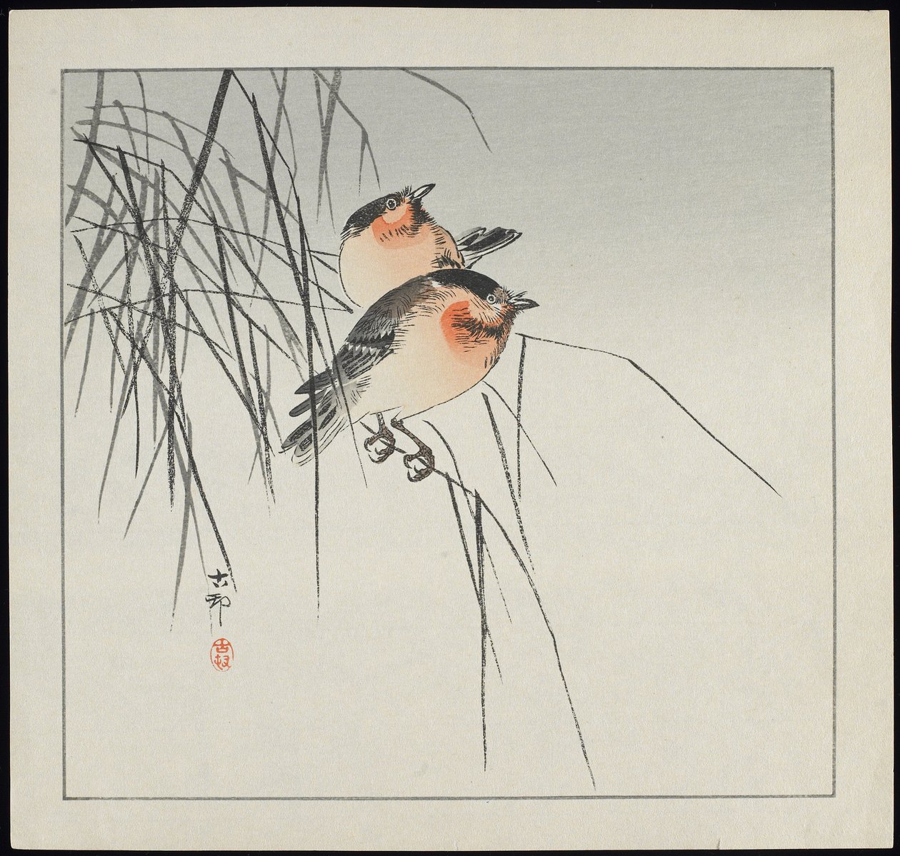Twee Vogels op Riet, voor 1912 door Ohara Koson