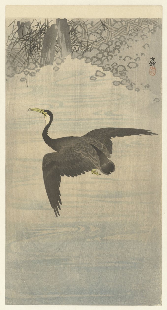 Aalscholver in vlucht door Ohara Koson