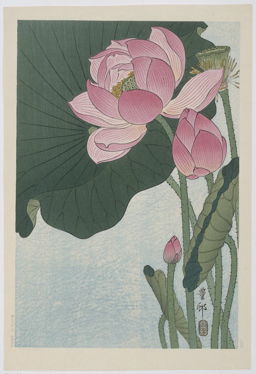 Bloeiende lotusbloemen door Ohara Koson