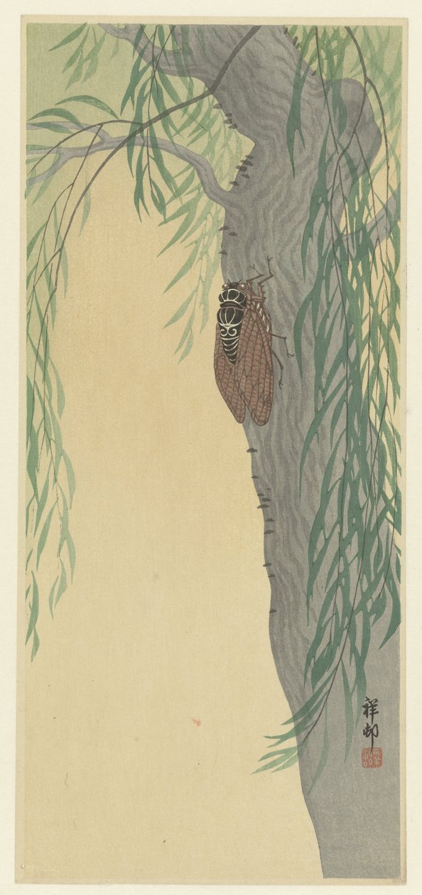 Cicade op een boom door Ohara Koson