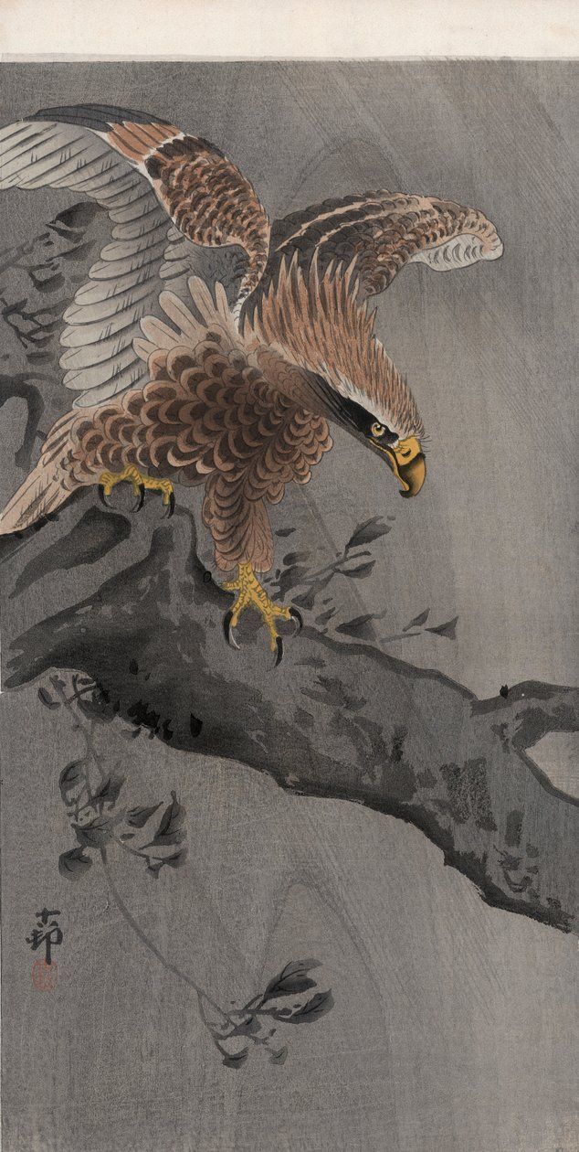 Adelaar met gespreide vleugels op boomstam door Ohara Koson
