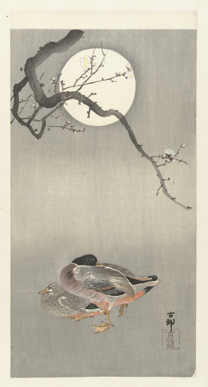 Eenden bij volle maan door Ohara Koson