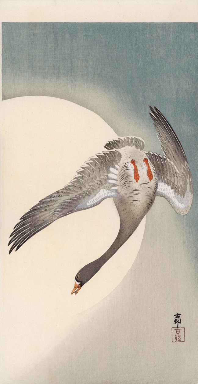 Vliegende witvoorhoofd gans gezien van onderen voor de maan door Ohara Koson