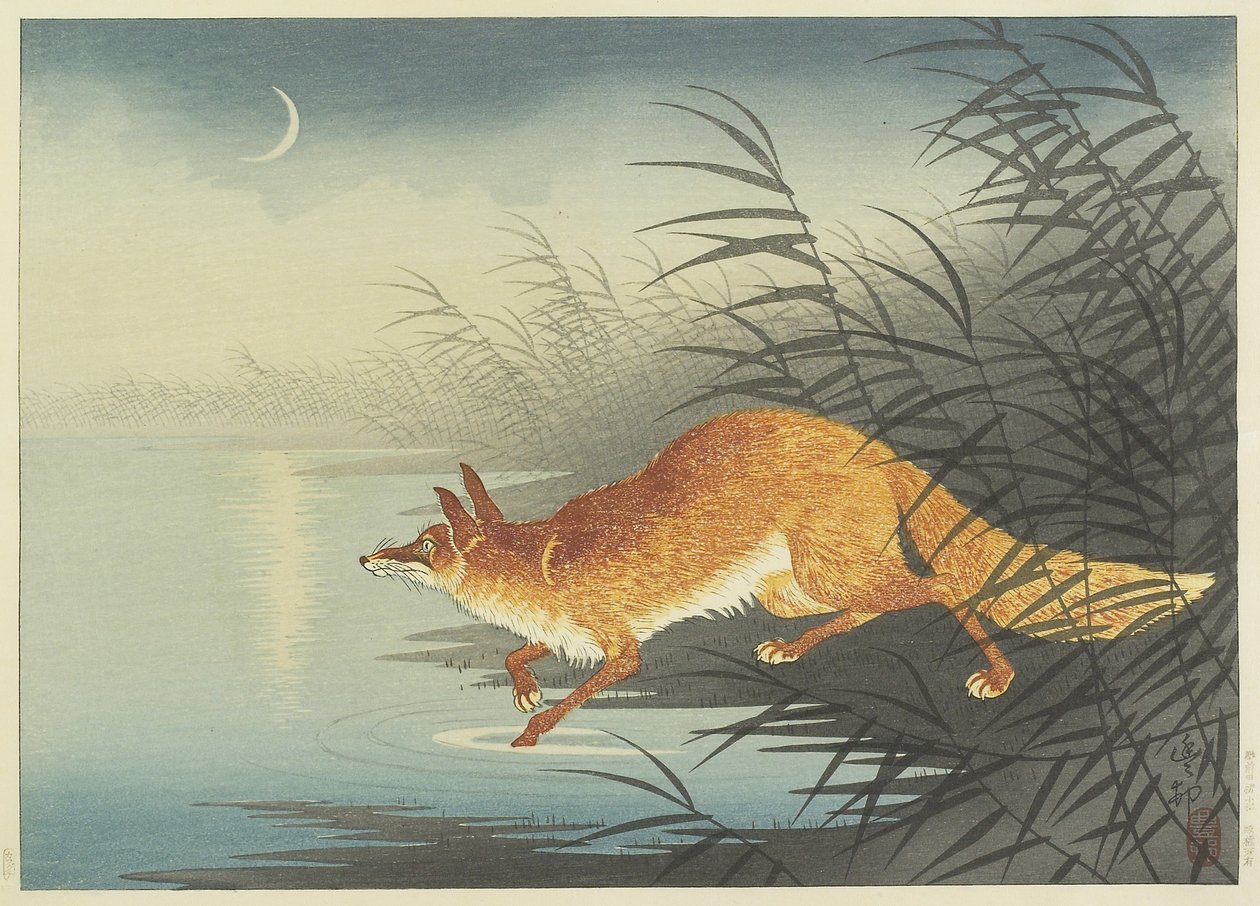 Vos bij het maanverlichte water, jaren 1930 door Ohara Koson
